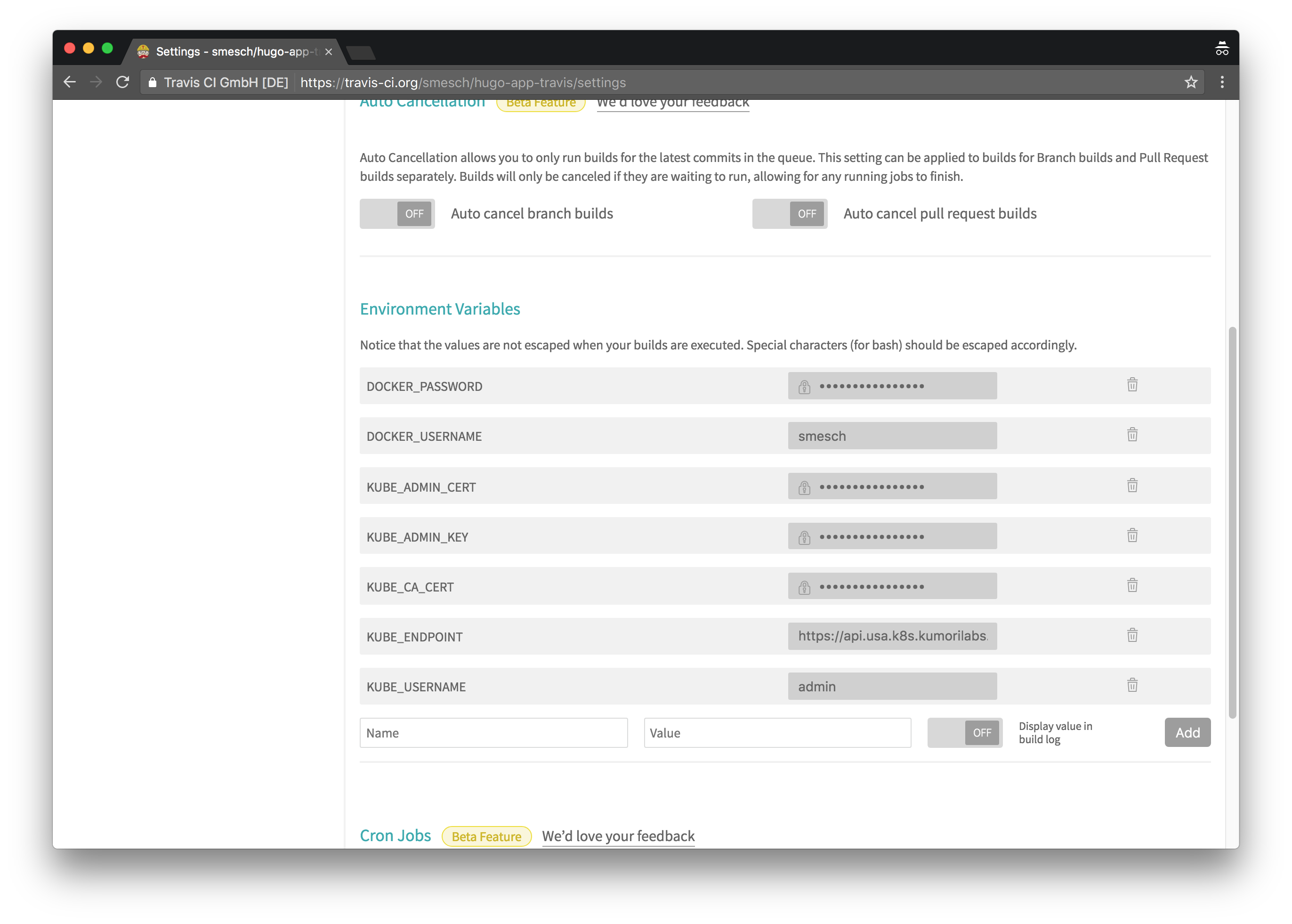 Travis CI - Configure ENV Vars